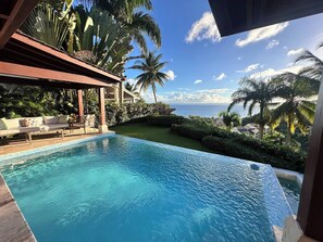 Ein Pool mit Blick auf den Ozean, umgeben von Palmen und einer überdachten Sitzgelegenheit.