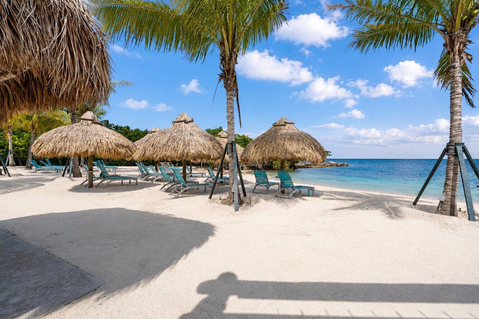 Ein Strand mit Reetdachschirmen, Liegestühlen und Palmen.