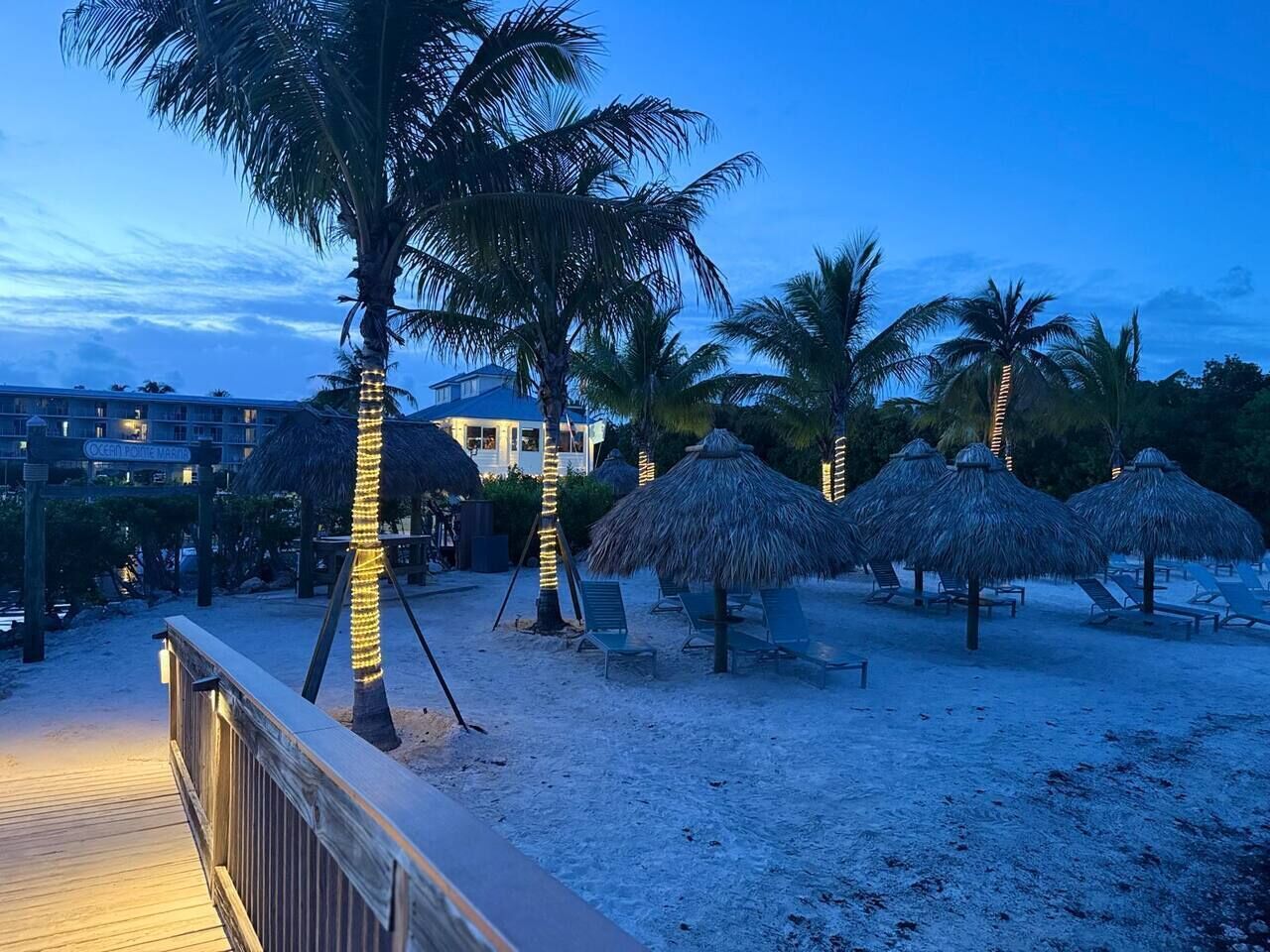 A beachside resort with palm trees, thatched umbrellas, and lounge chairs.