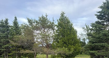 Fantastic campground retreat #36