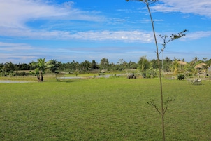 Jardines del alojamiento