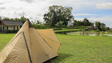 Une tente est installée sur un champ d’herbe, avec un bâtiment et des arbres en arrière-plan.