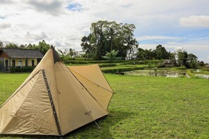 Une tente est installée sur un champ d’herbe, avec un bâtiment et des arbres en arrière-plan.