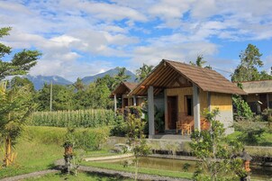 Cabaña, vistas al jardín | Vistas desde la habitación