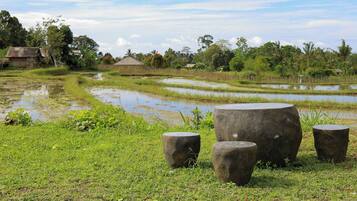 A rural landscape with a water body, surrounded by greenery and traditional houses.
