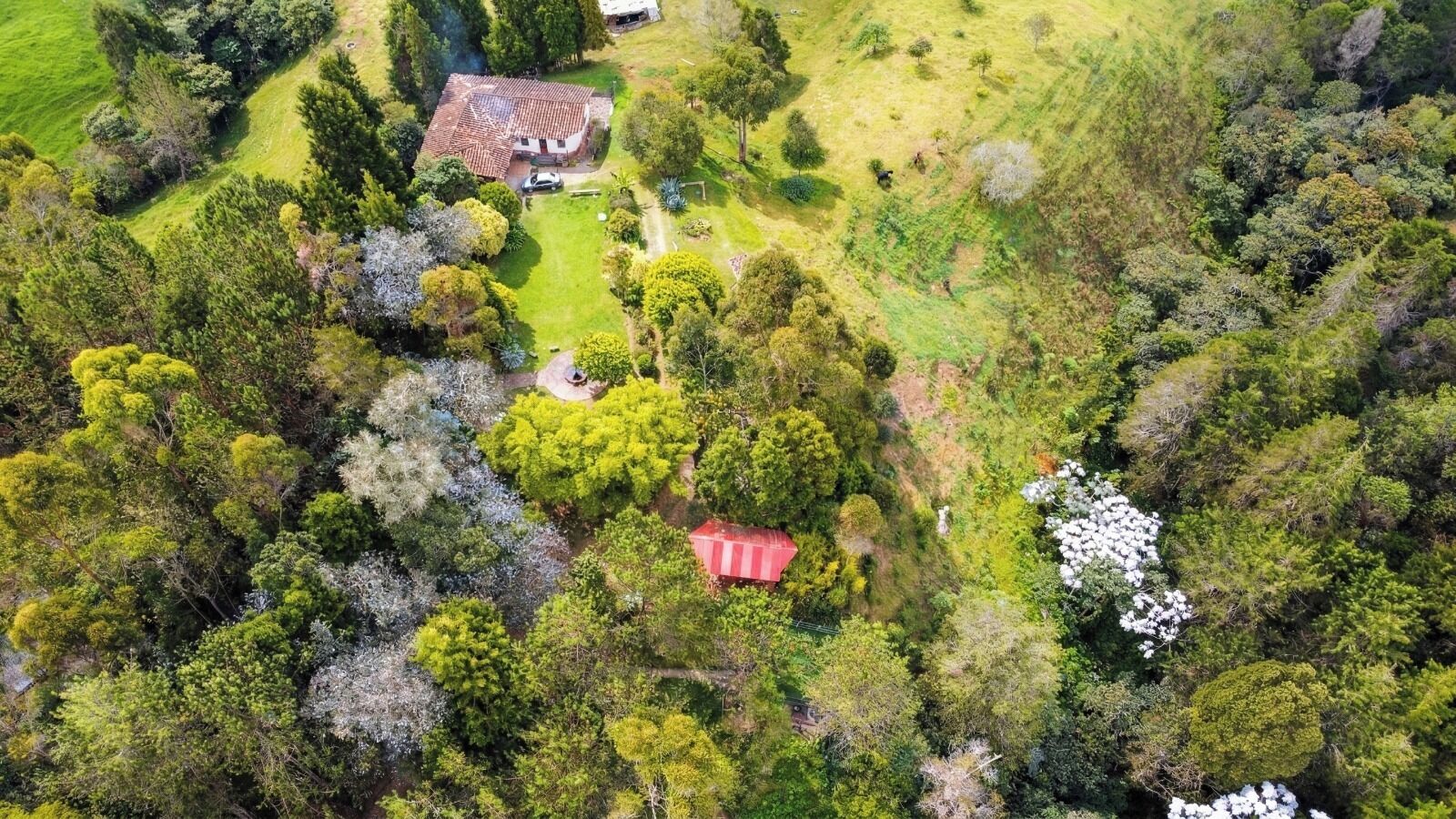 Luftbilde