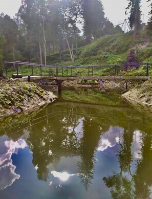 Natural pool - 5 Continentes (Guarne)
