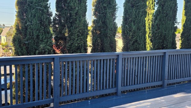 A wooden deck with a railing, tall evergreen trees, and a clear blue sky. - Lovely 1-bedroom apartment with AC in vibrant Sacramento (Sacramento)