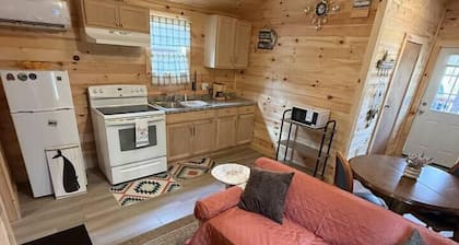 Jungo Cabin #1 in Gouldsboro