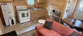 Jungo Cabin #1 in Gouldsboro