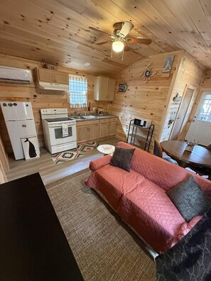 Living area - Jungo Cabin #2 in Gouldsboro (Gouldsboro)