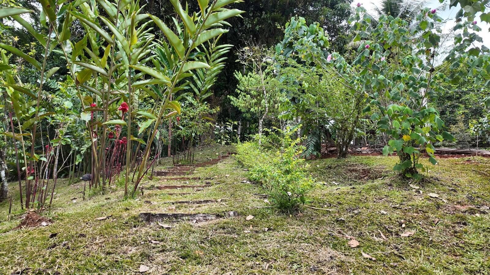 Jardines del alojamiento