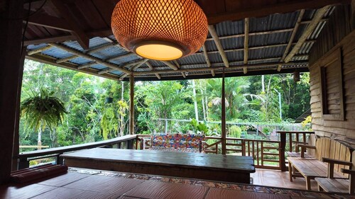 Finca Secreto Sur, A Hidden Paradise in the Jungle