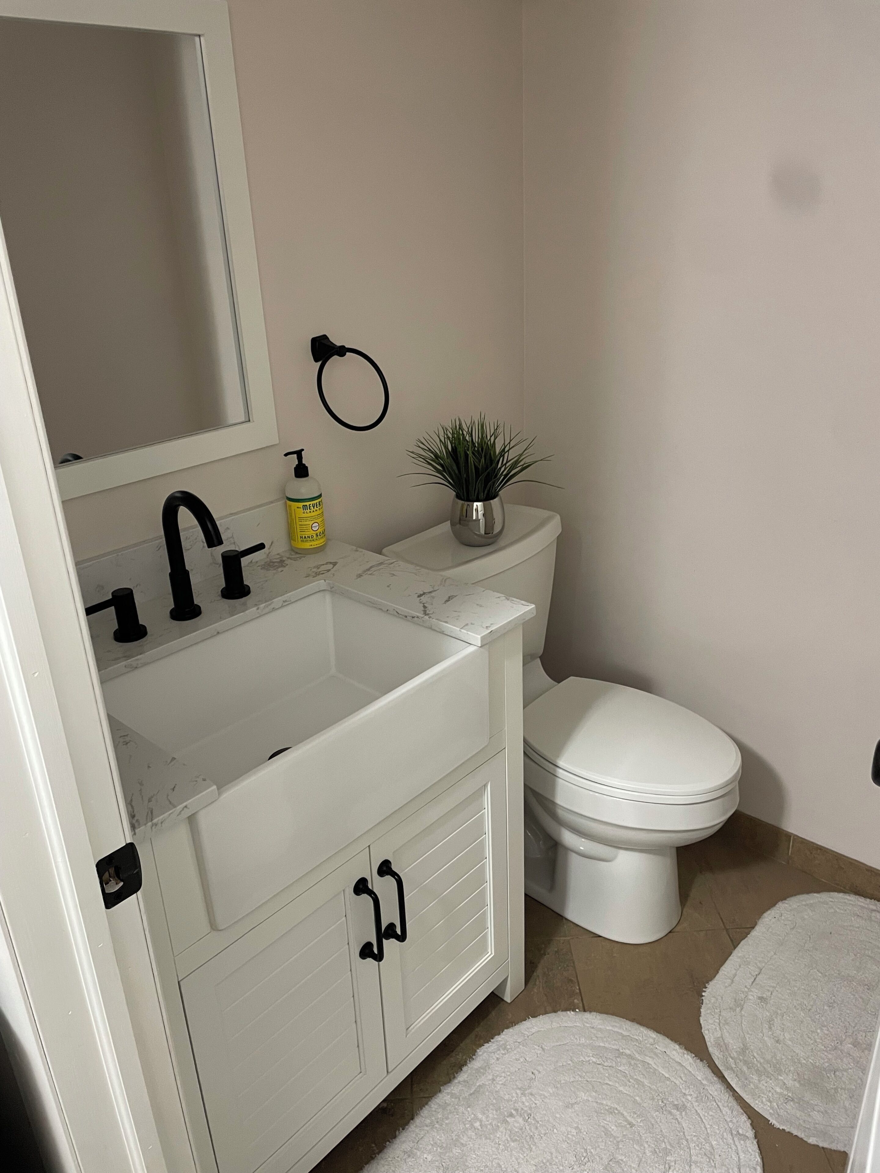 Une salle de bain avec un lavabo blanc, un miroir, des toilettes et une petite plante en pot.