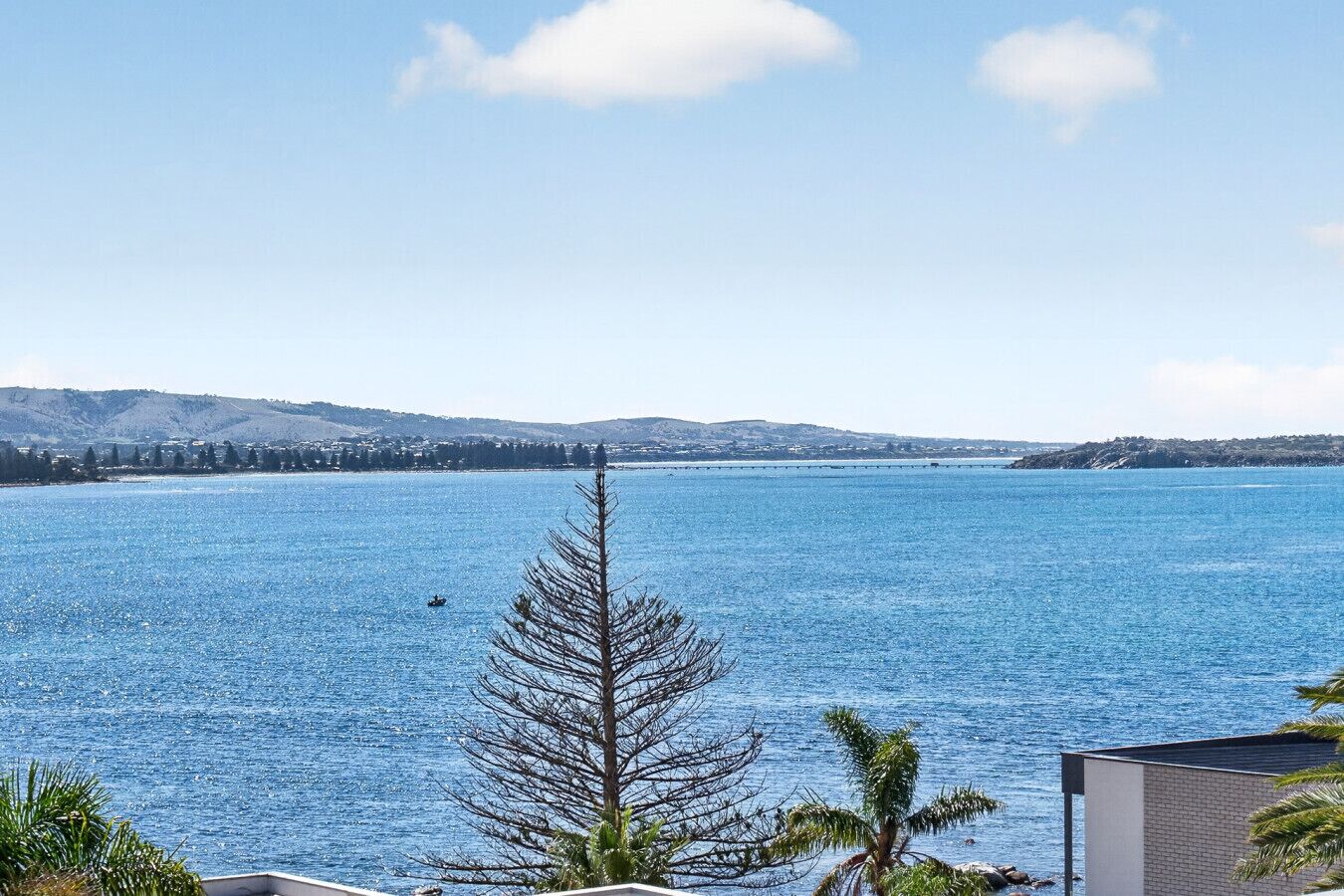 A view of a calm body of water with a clear sky, a distant shoreline with buildings, and a leafless tree in the foreground.