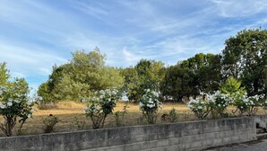 Eine Betonbarriere mit blühenden Sträuchern, einer Rasenfläche und Bäumen im Hintergrund.