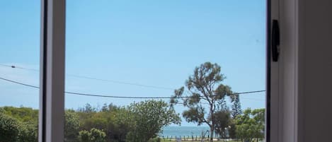 A view through a window with a clear sky, a tree, and a distant view of a park with a fence.