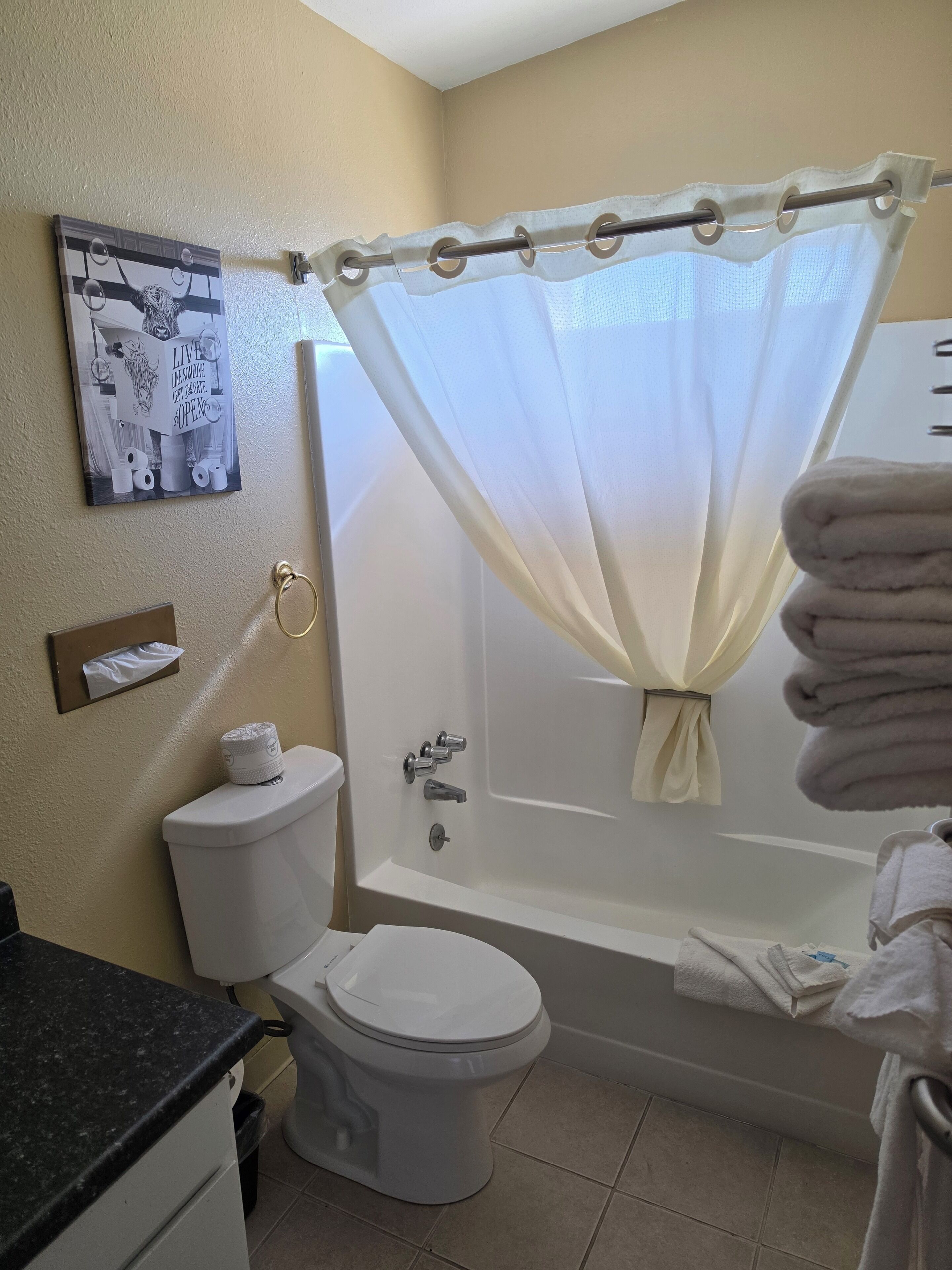 A bathroom with a toilet, bathtub, and a shower curtain.