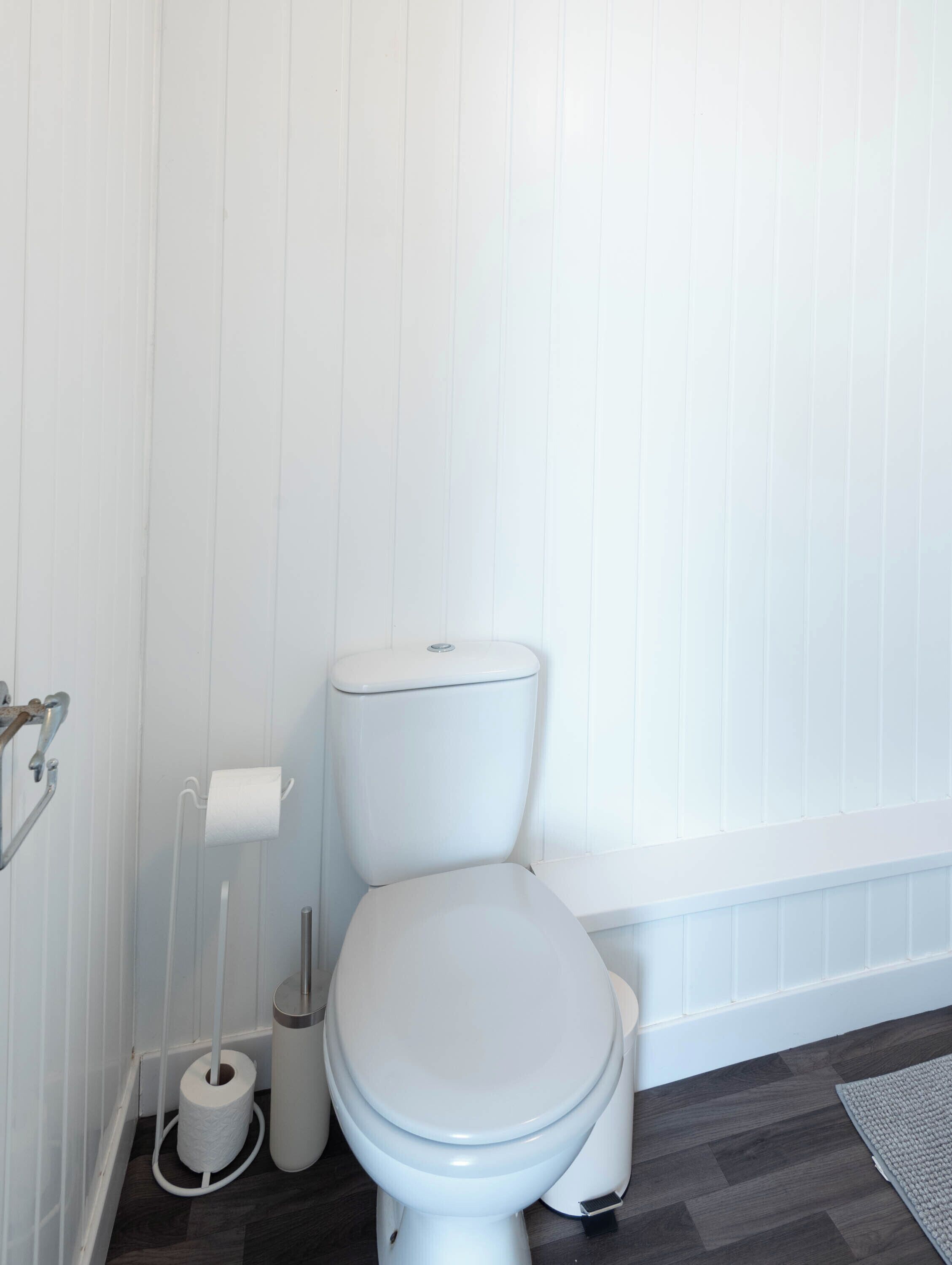 Shower, towels, toilet paper