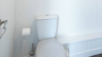 Shower, towels, toilet paper