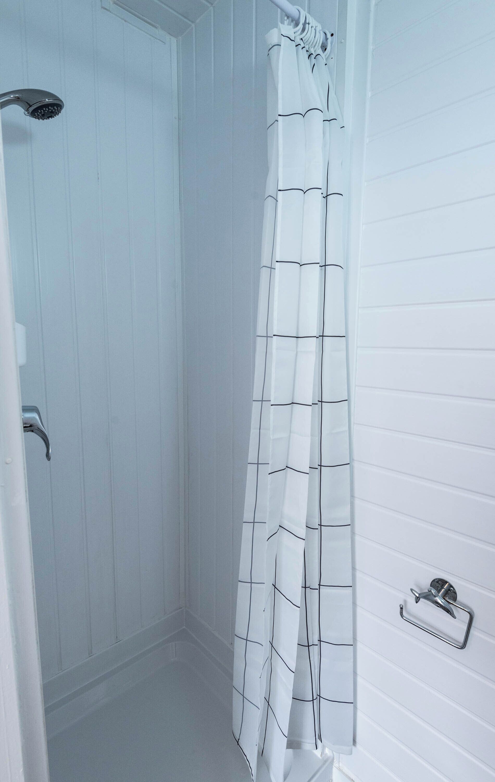 Shower, towels, toilet paper