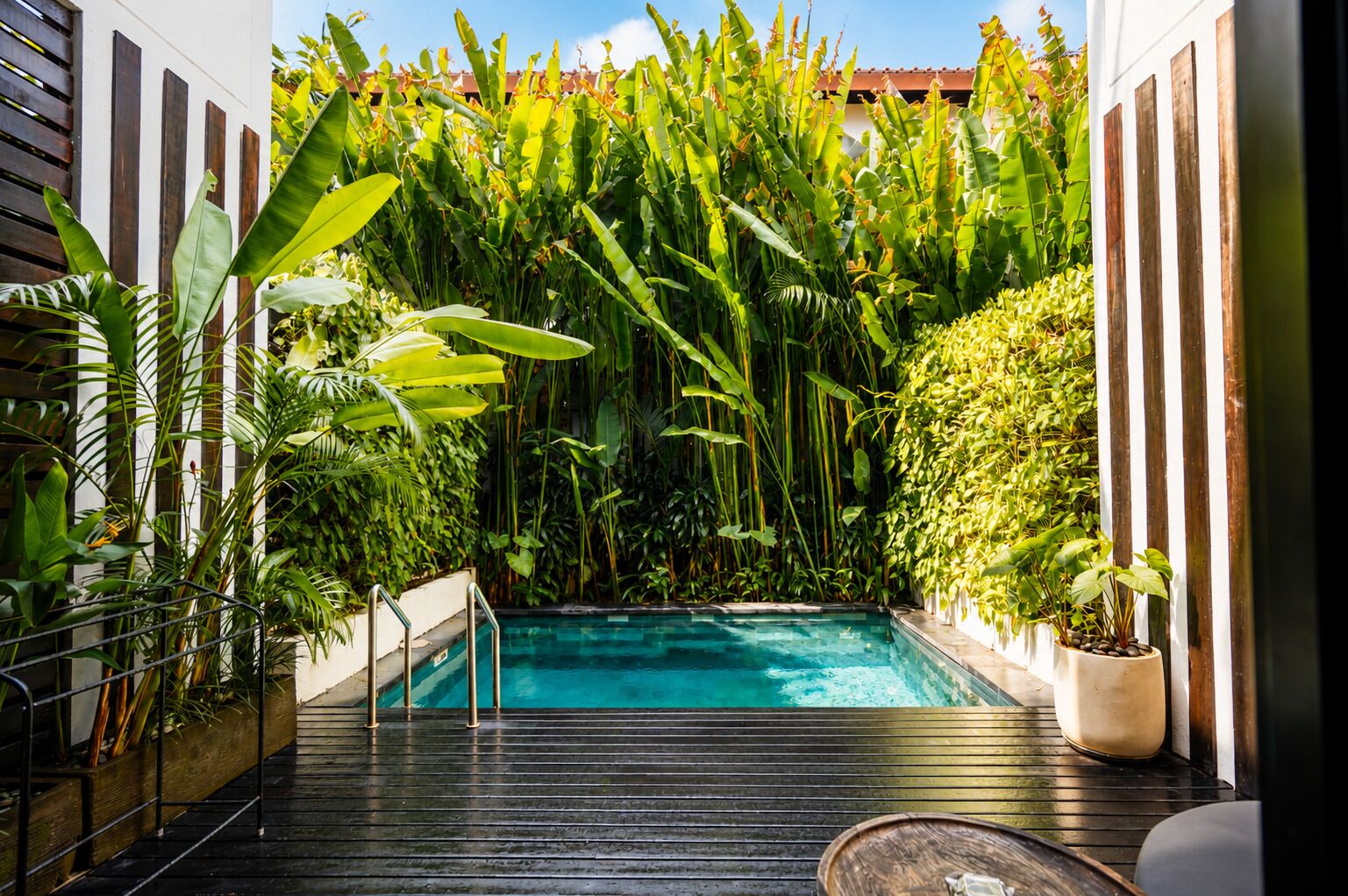 Una piscina rodeada de exuberante vegetación tropical, una terraza de madera y un muro blanco con listones verticales.