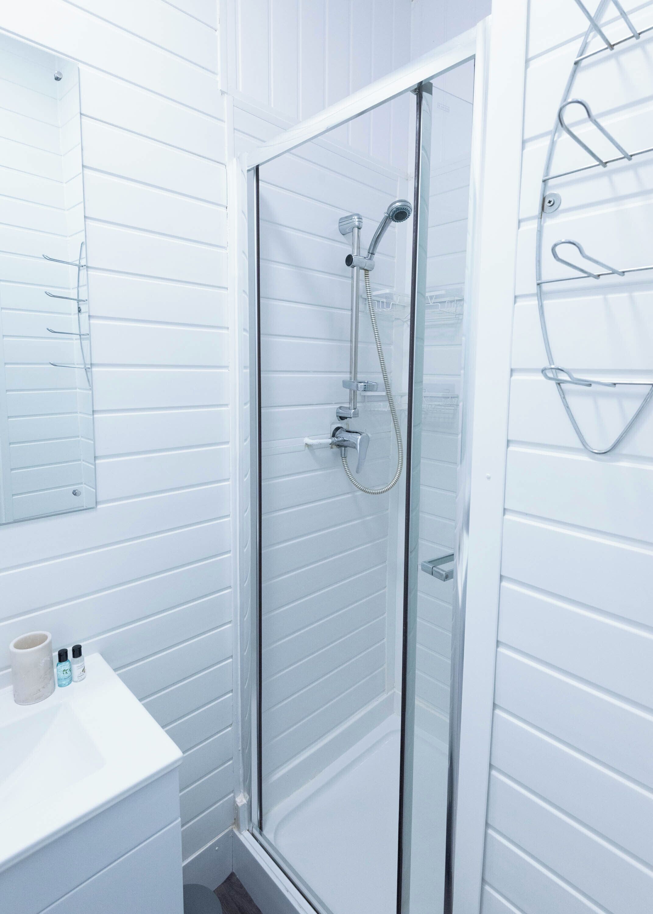 Shower, towels, toilet paper