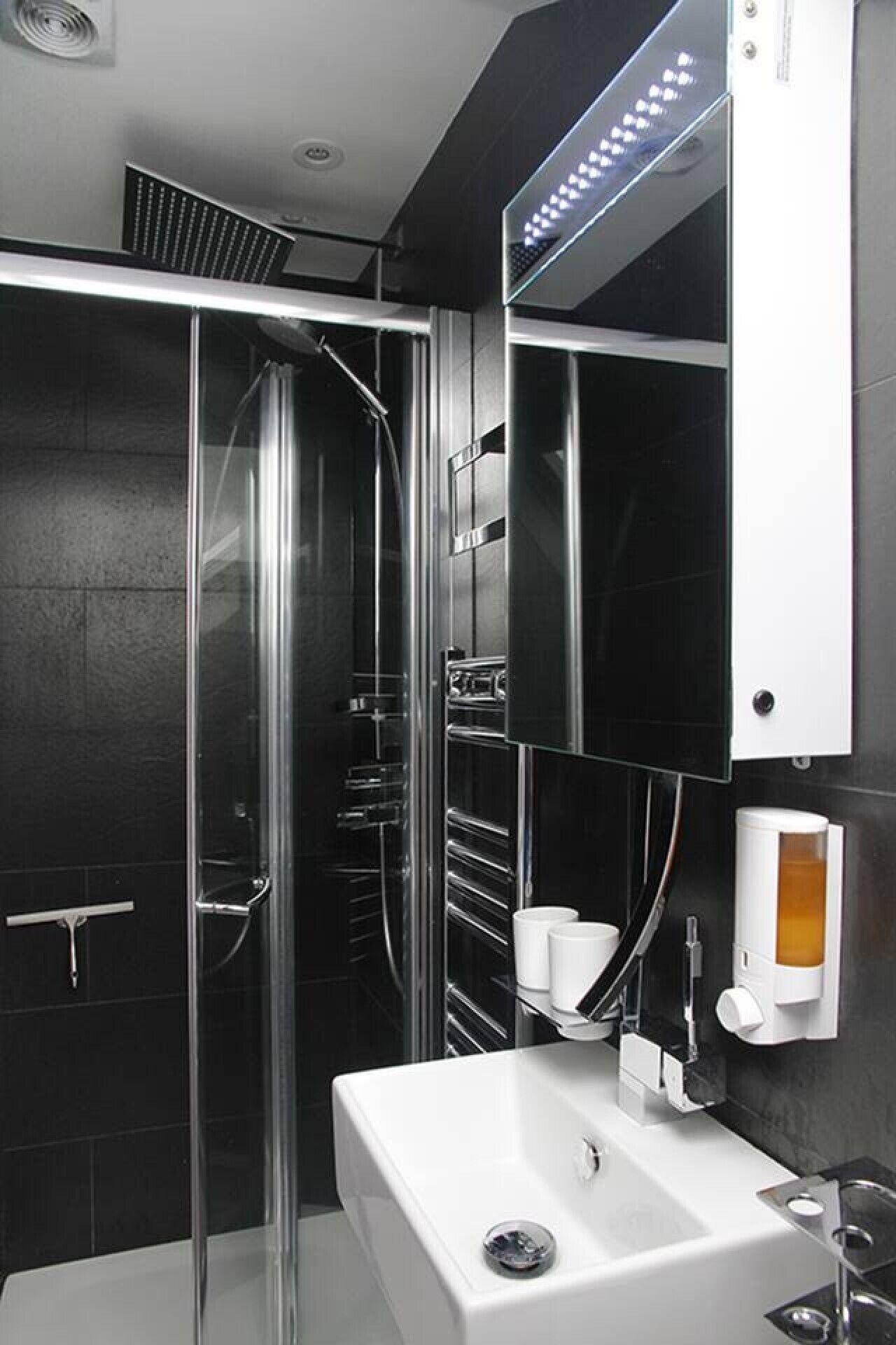 Shower, hair dryer