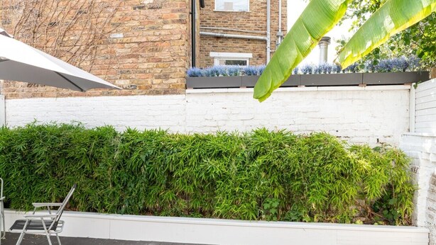 Un giardino pensile con un muro bianco, una sedia in metallo e una pianta di banano.