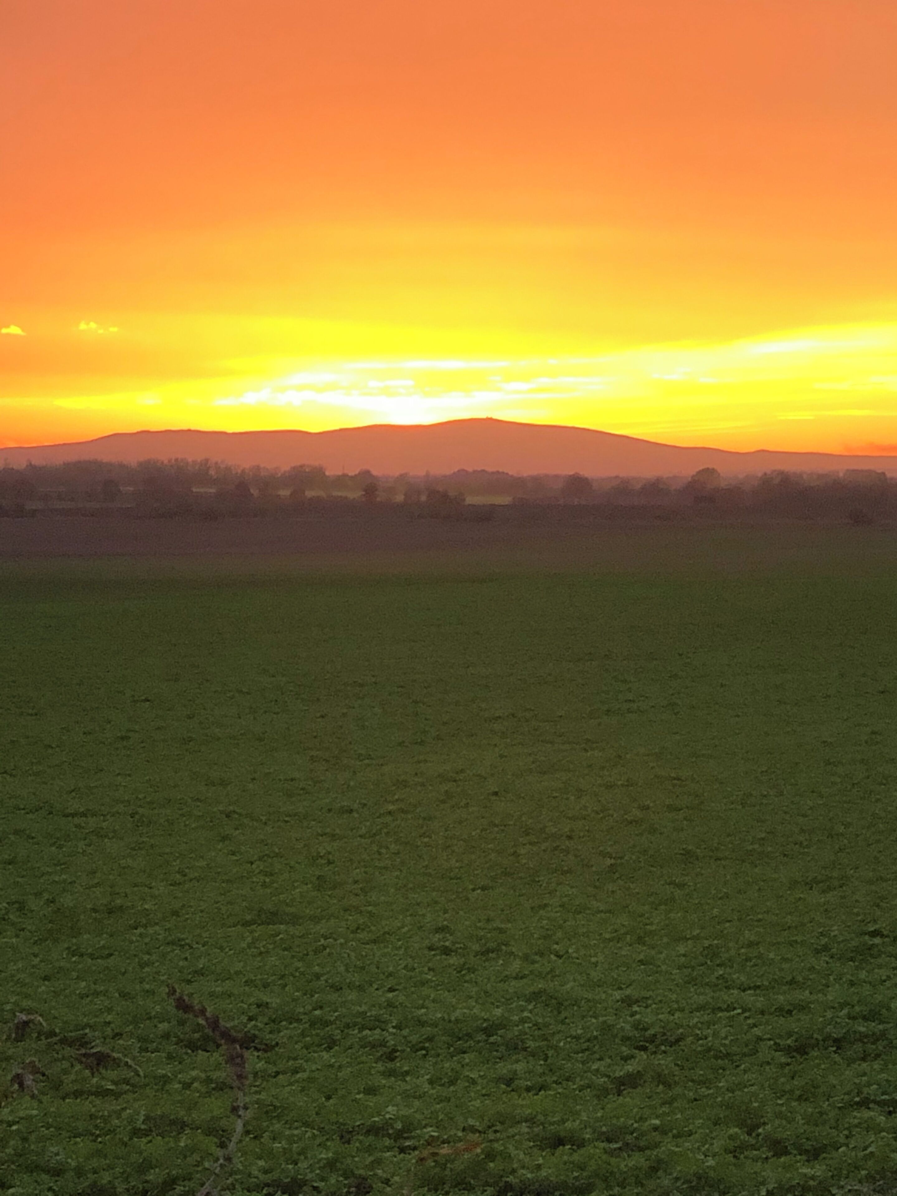 Un paysage plat, avec une ligne d’horizon et un ciel dégagé.
