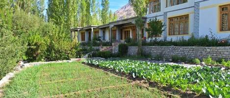A modern house with a garden, a stone wall, and a mountain in the background.