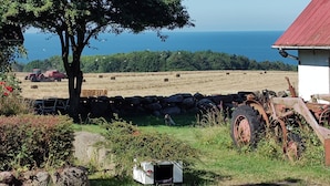Ländliche Landschaft mit Steinmauer, Traktor, Heuballen und weiter Blick aufs Meer.