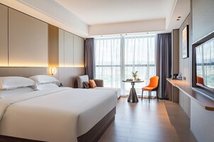 Business Double Room Single Use, Housekeeping, City View | Desk, laptop workspace, WiFi (free)