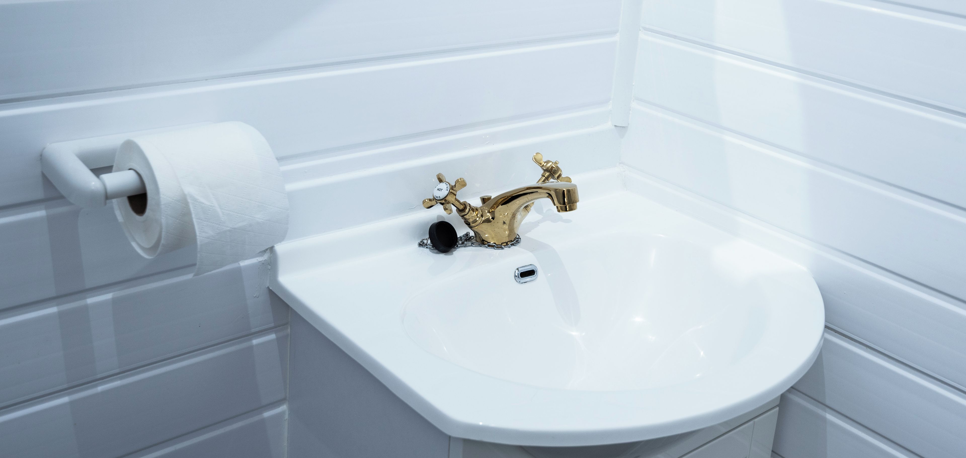 A bathroom with a white sink, a gold faucet, and a toilet paper holder on the wall.