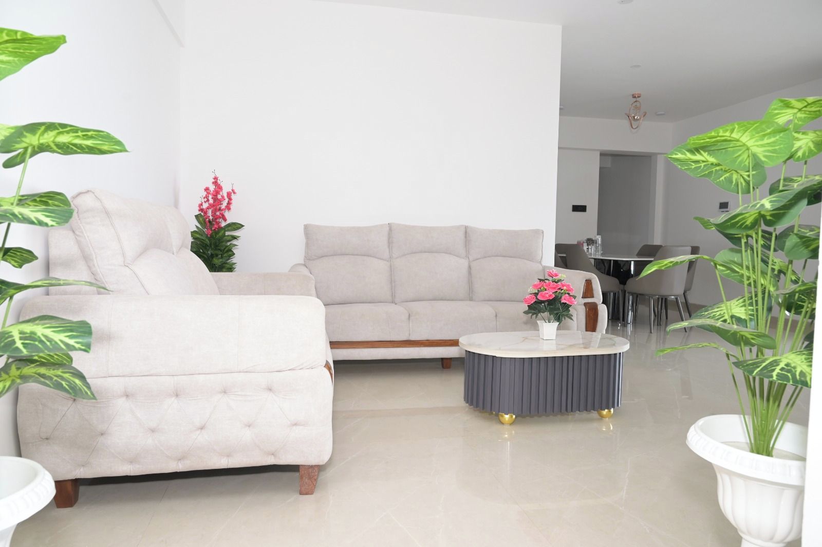 A modern living room with a beige sofa, a round coffee table, and large green plants.
