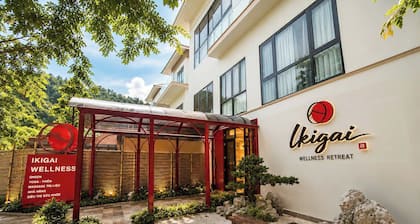 Ikigai Wellness Ba Vi Retreat
