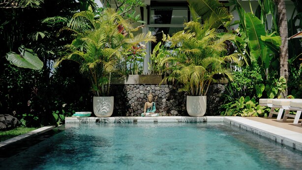 A swimming pool with a stone wall and tropical plants.