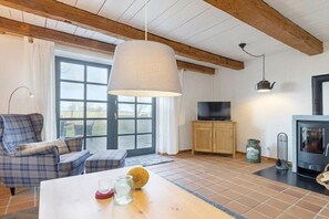 Smart-TV, Kamin
