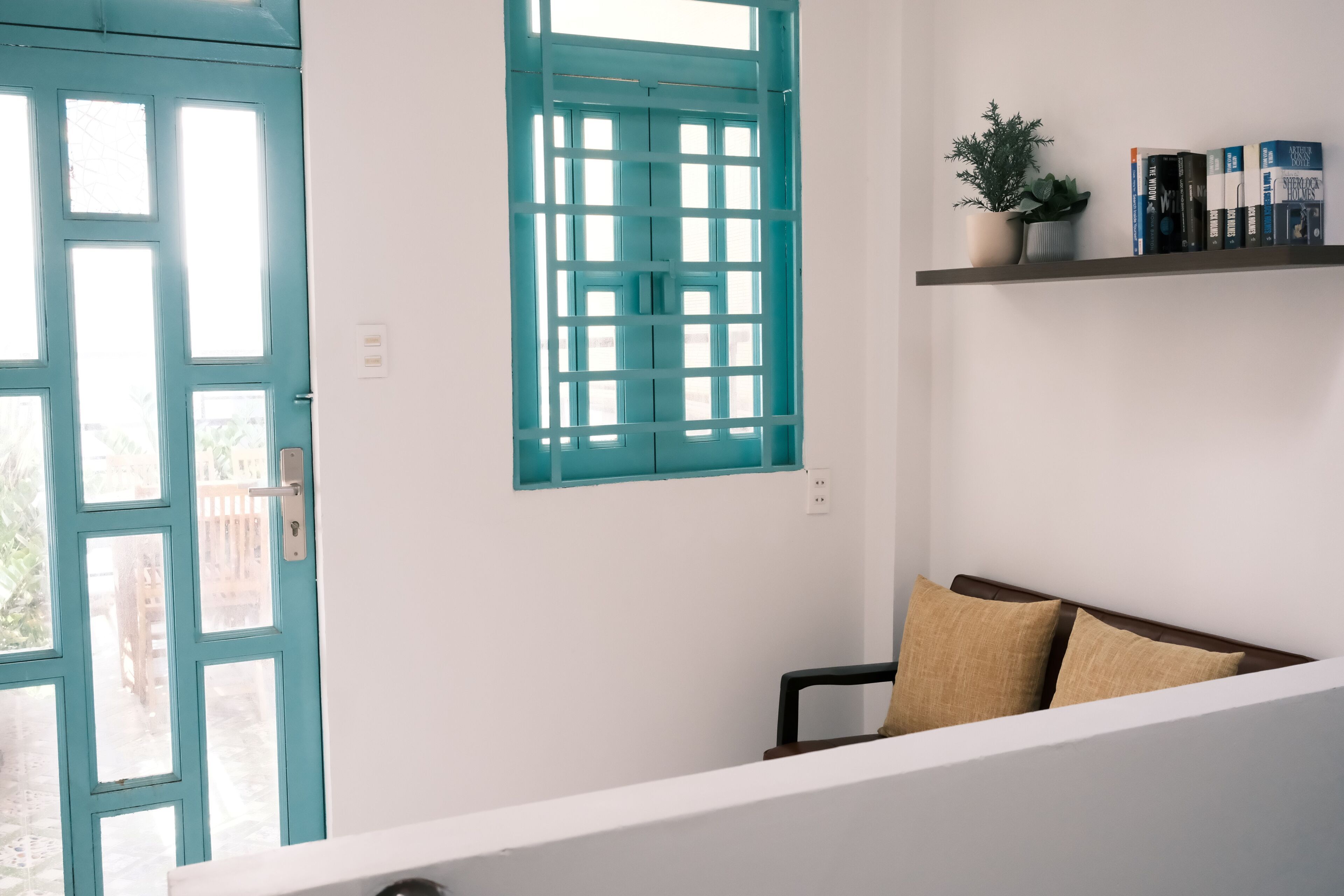 A room with a teal door, a window with a grid pattern, a bookshelf with books, a small plant, and a brown sofa.