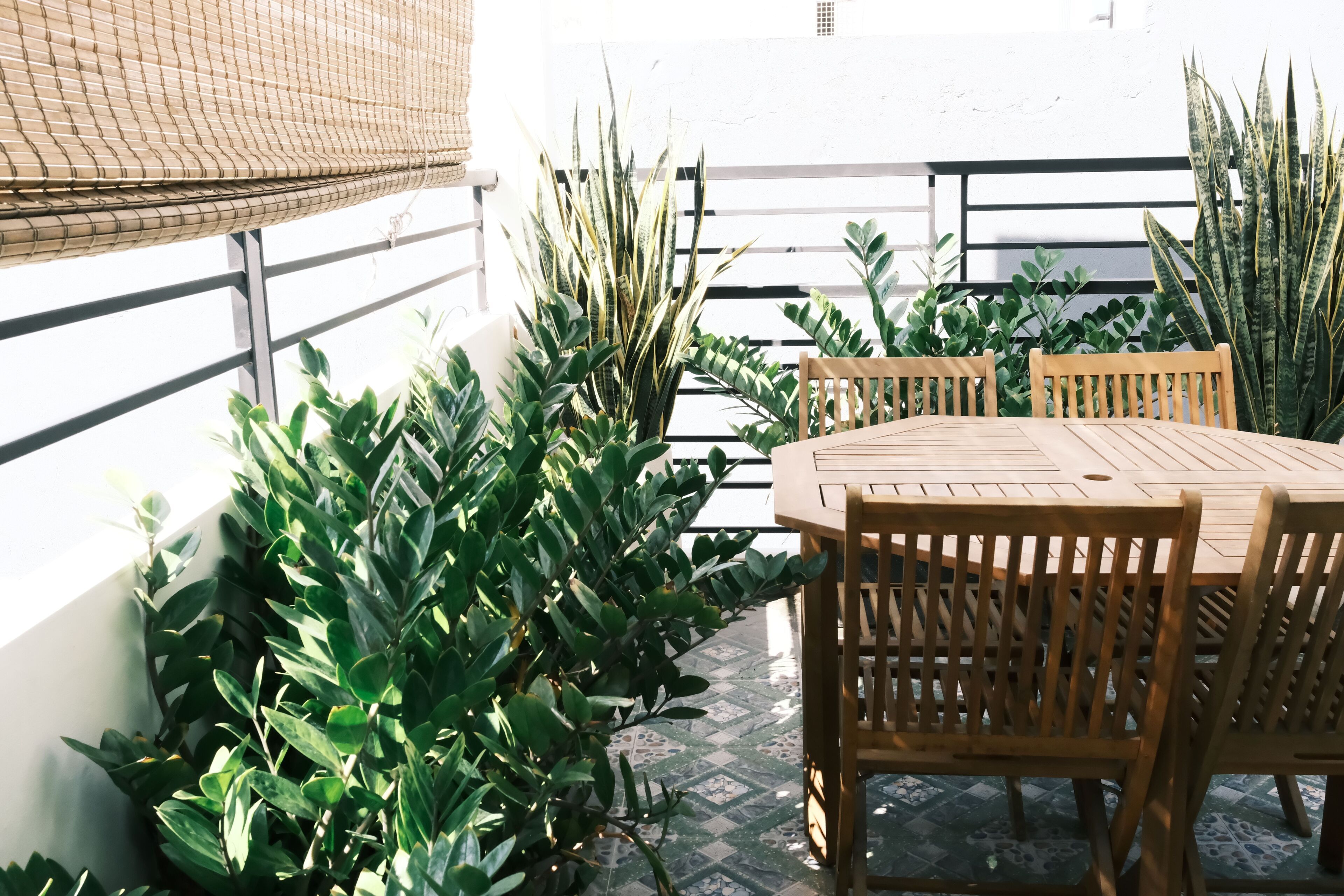 Casa Superior, balcone | Terrazza/patio