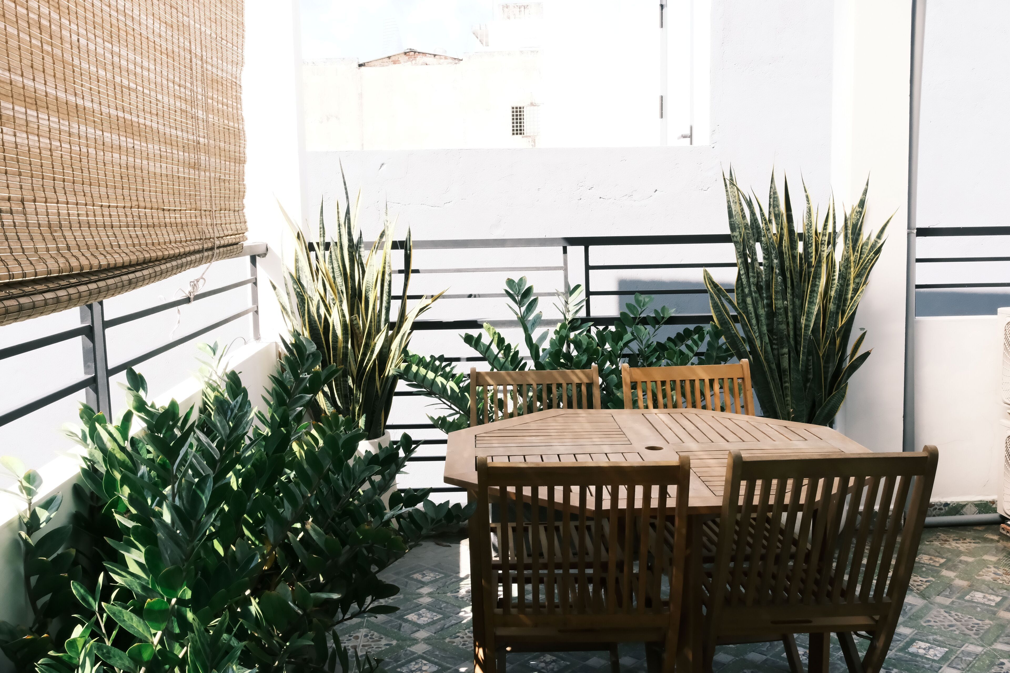 An outdoor patio with a wooden table and chairs, surrounded by various potted plants.