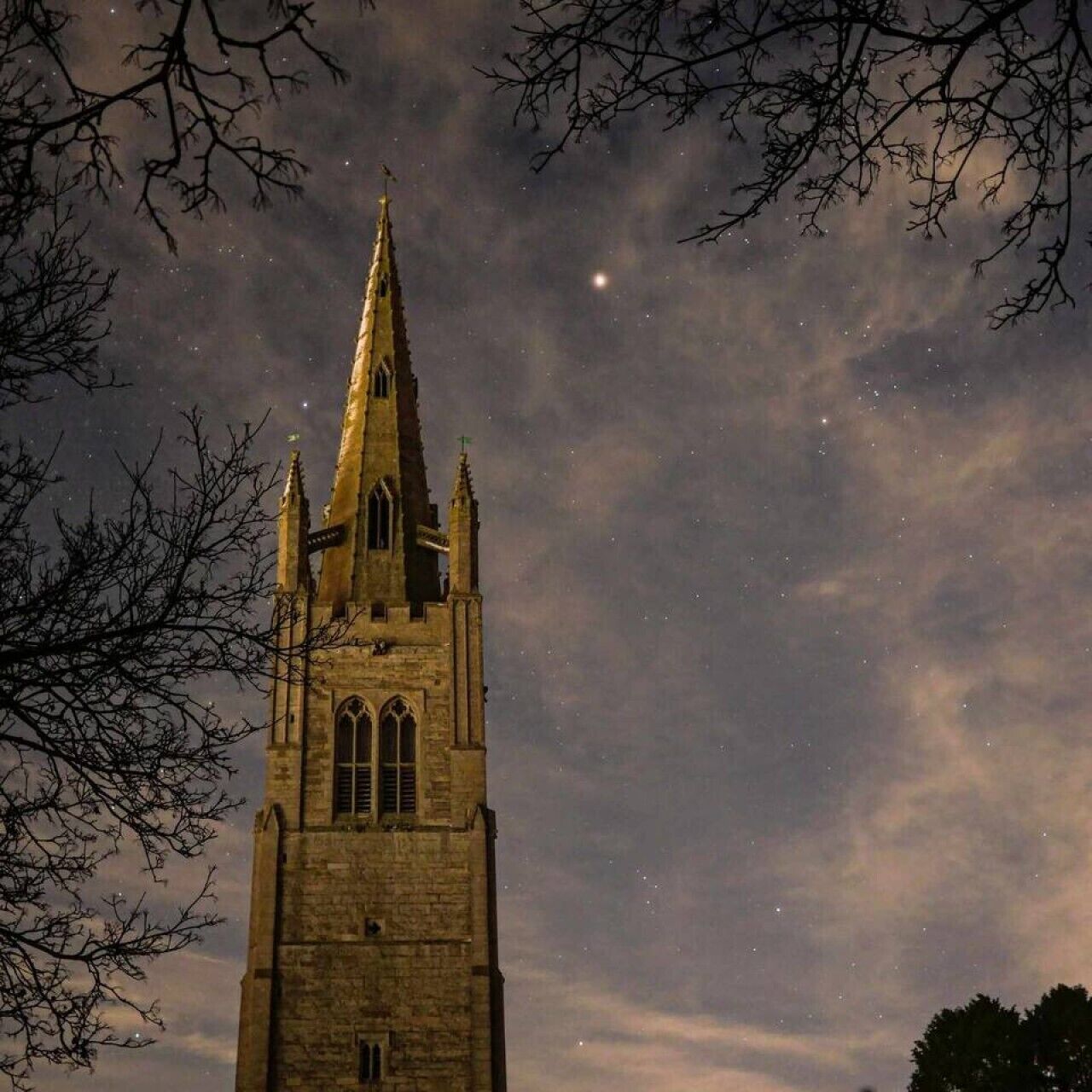 Una torre histórica con un campanario puntiagudo, rodeada de ramas desnudas y un cielo nocturno estrellado.