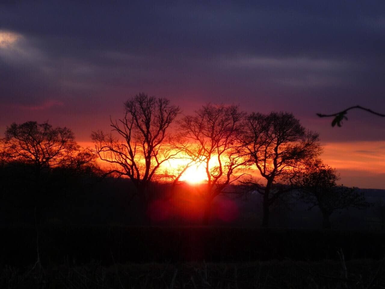 Um pôr do sol com silhuetas de árvores contra um céu com tons degradês do azul escuro para o azul claro.