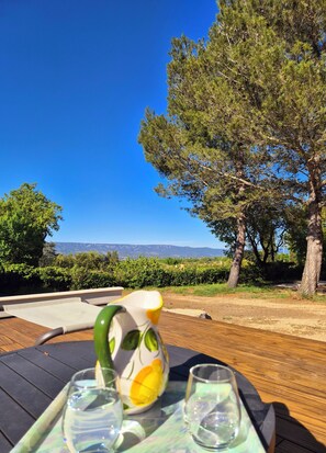 Outdoor dining - Vrbo Property (Alleins)