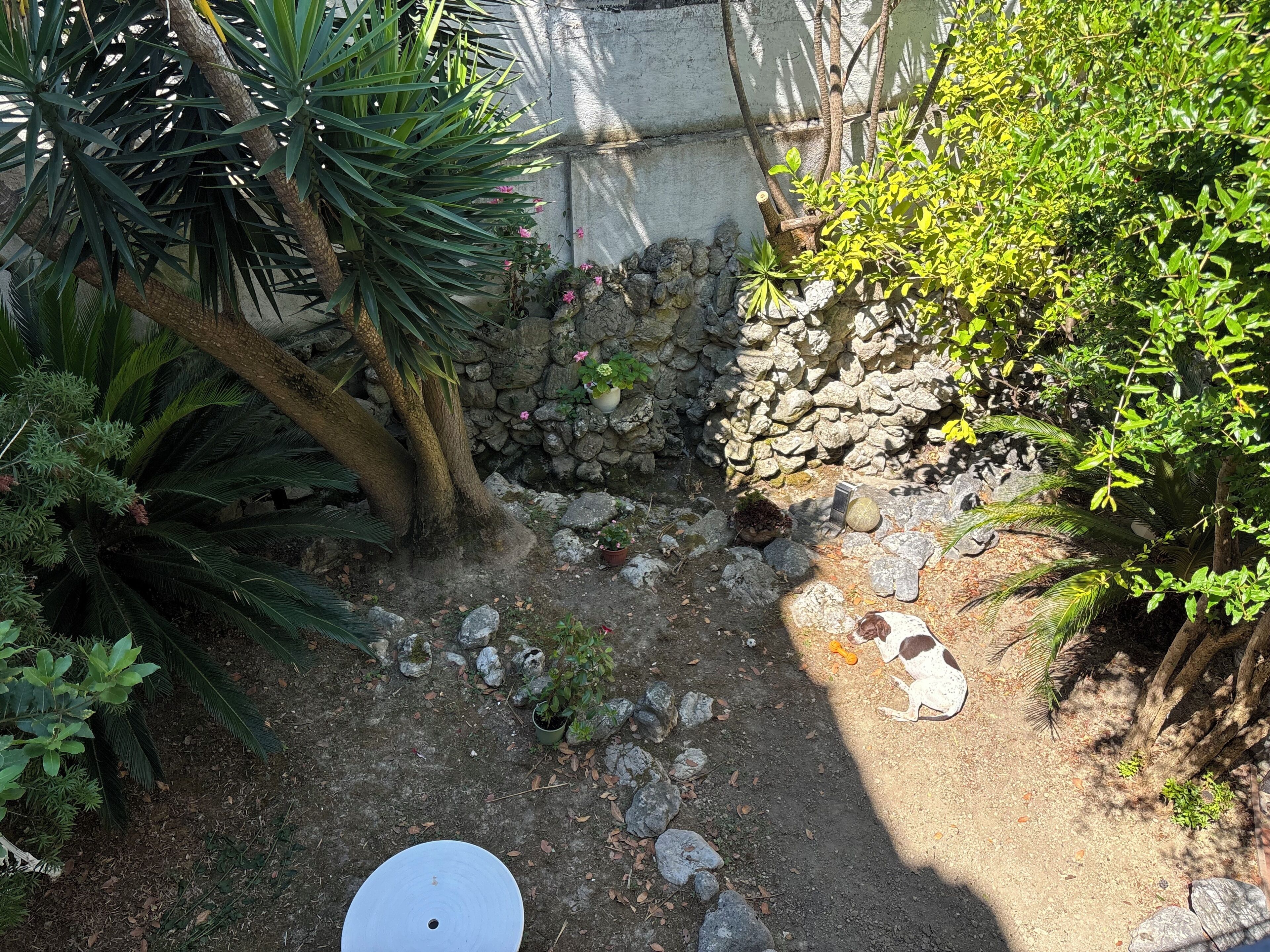 Enceinte de l’hébergement
