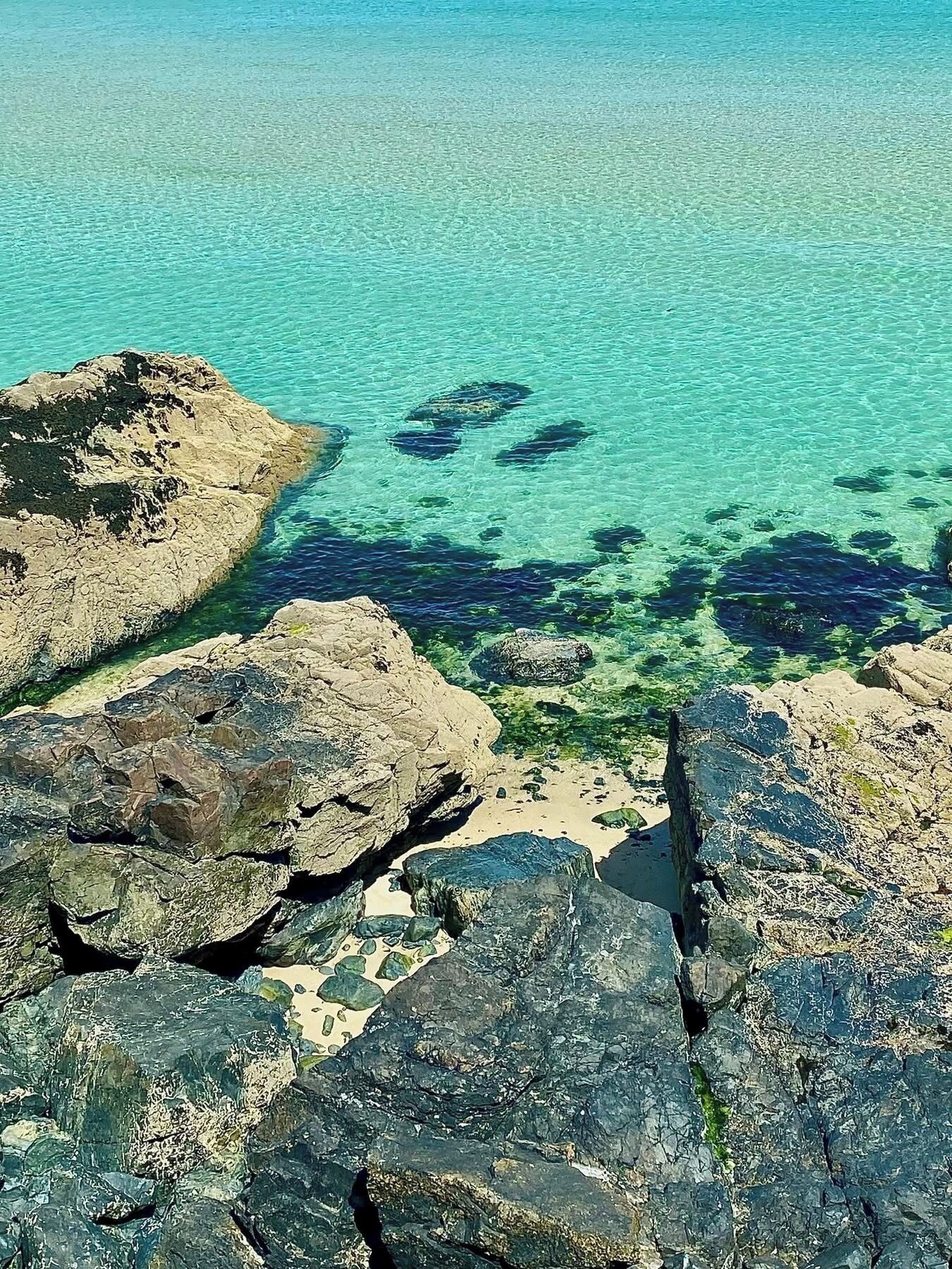Una costa rocciosa con acque cristalline turchesi e vita marina visibile.