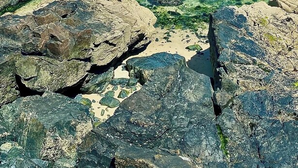 Une côte rocheuse bordée d’une eau turquoise cristalline où l’on peut observer la faune marine.