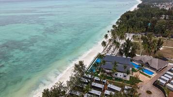 A resort with a pool, beachfront, and dense tropical vegetation.