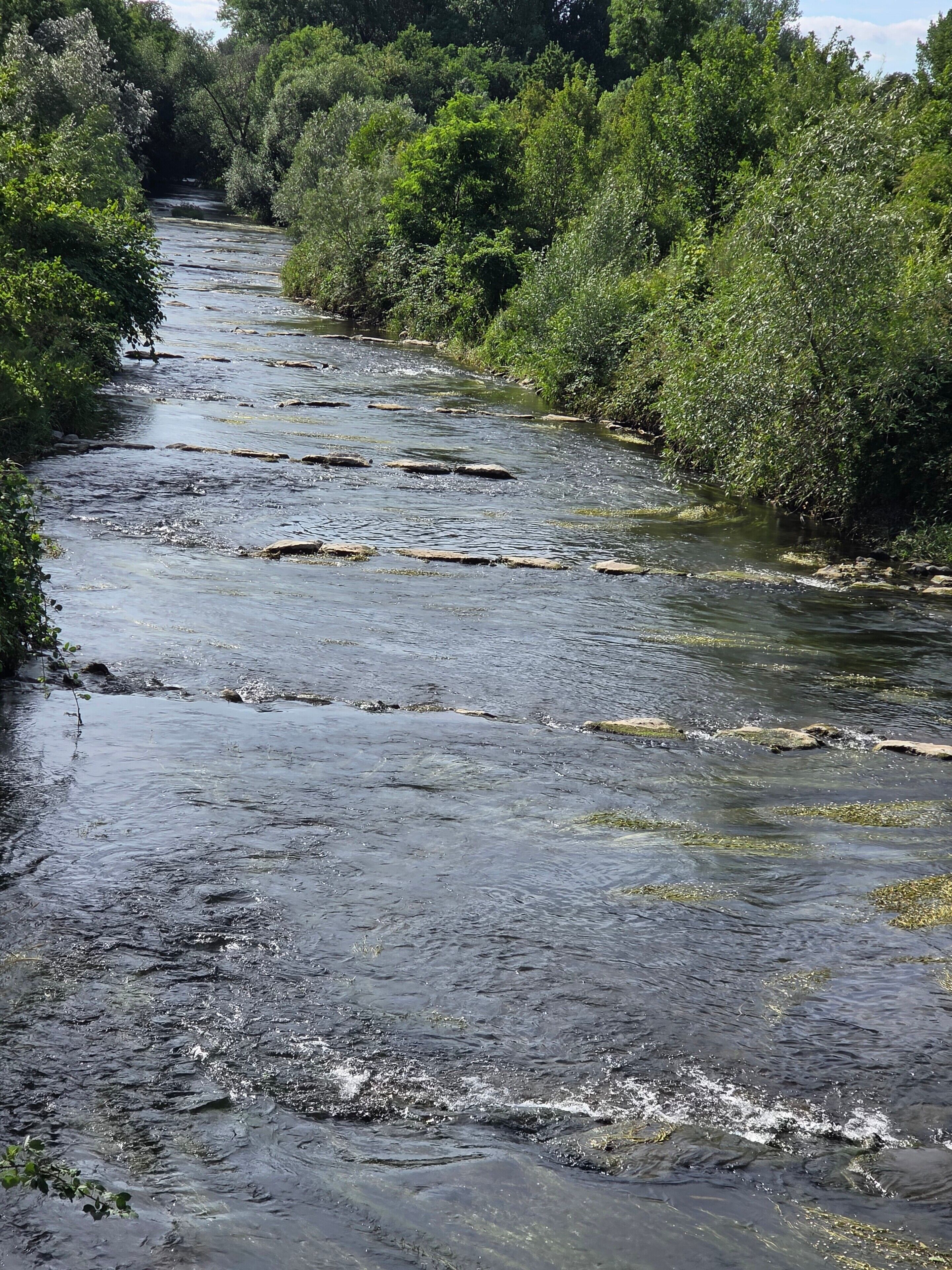 Une rivière qui traverse une zone densément boisée, sans qu’aucun bâtiment ou aucune construction ne soit visible.