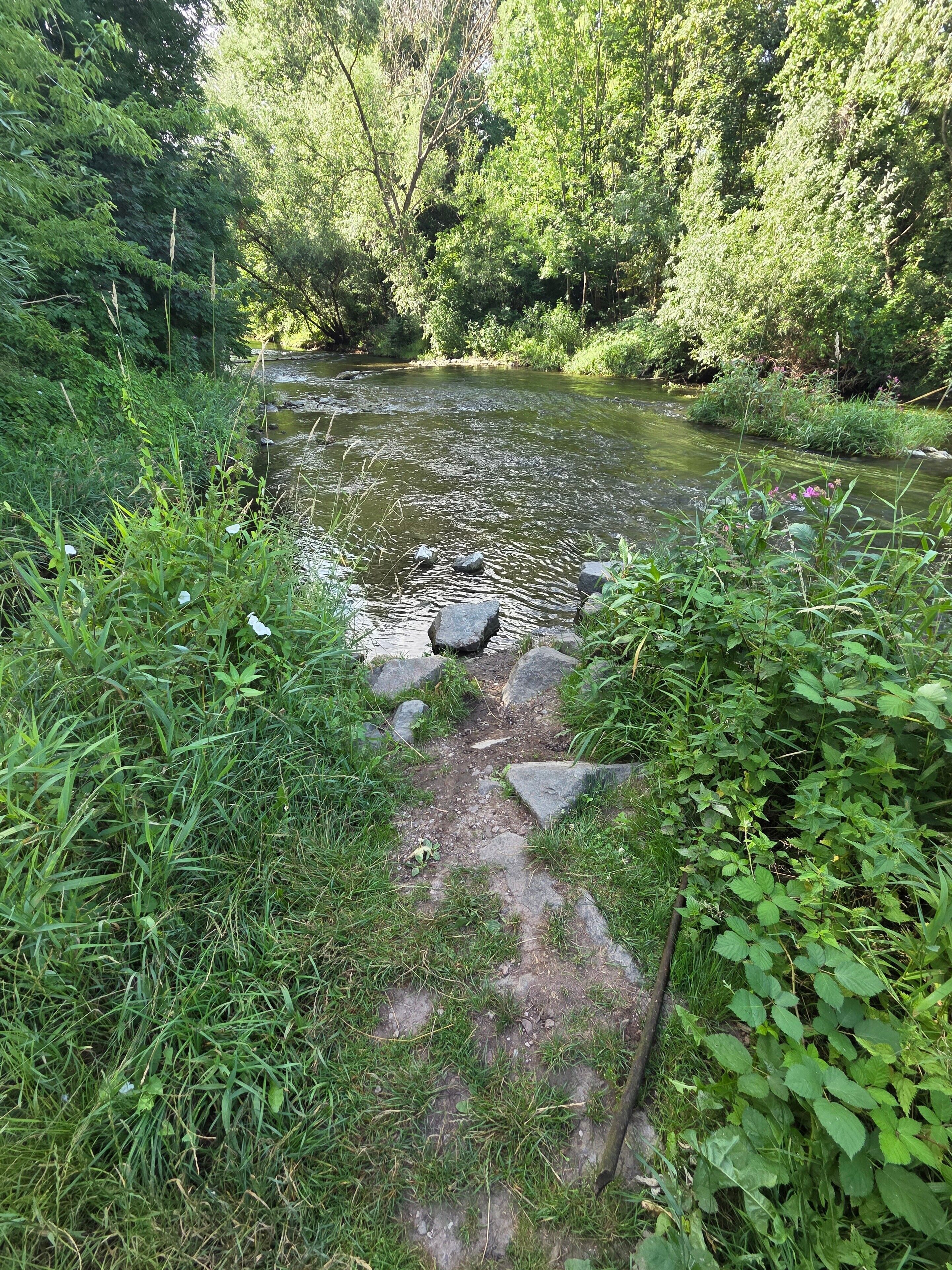 A natural outdoor setting with a stream, surrounded by dense greenery and rocks.